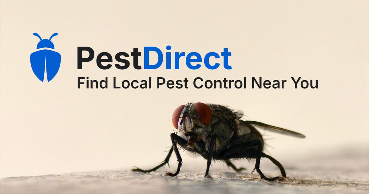 Pest Direct - Compare Trusted Pest Control Services preview