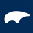 Netstate logo